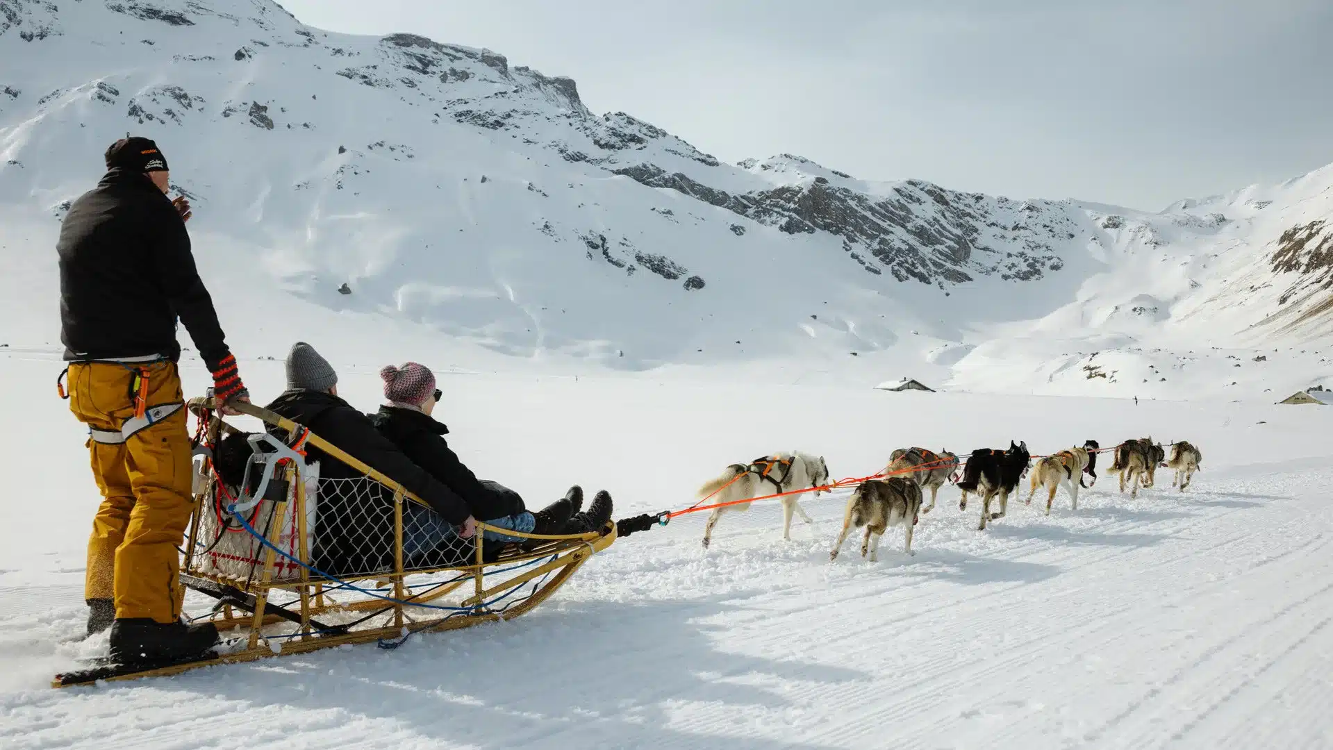 Huskyteam