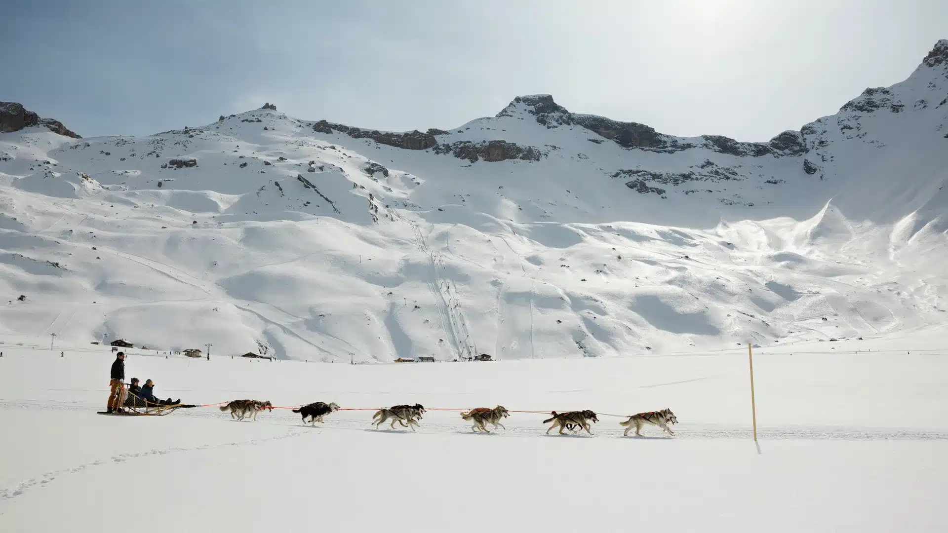 Husky Engstligenalp